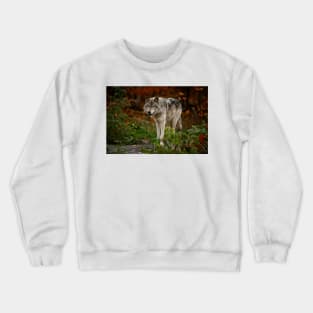 Gray Wolf Crewneck Sweatshirt